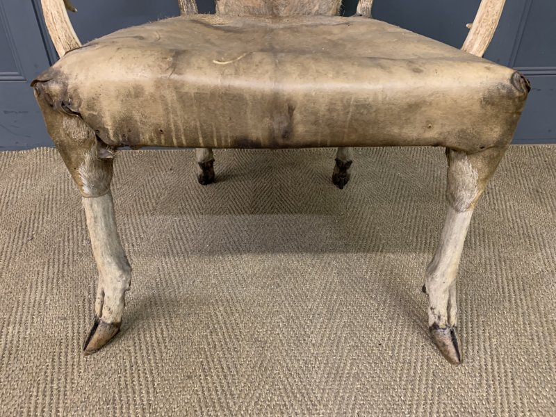19th Century Stags Antler Armchair - Image 8
