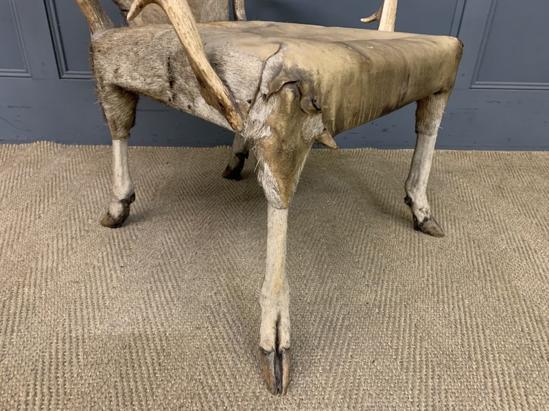 19th Century Stags Antler Armchair - Image 7