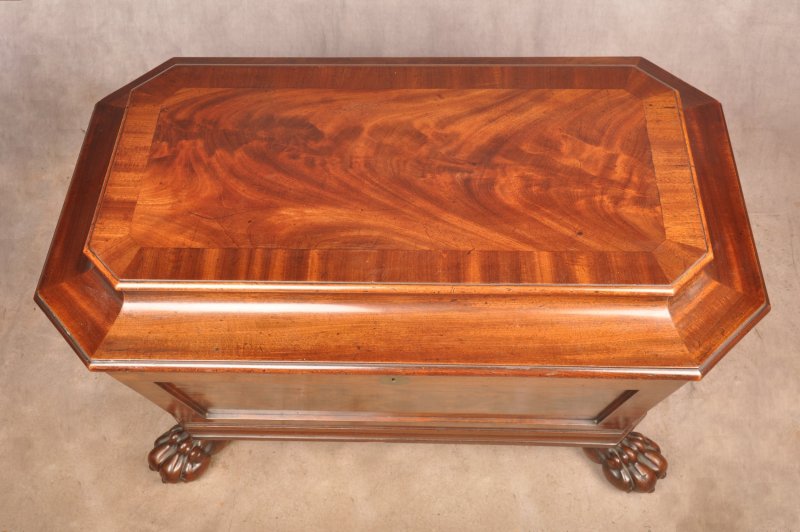 Fine Regency Mahogany Wine Cooler - Image 4
