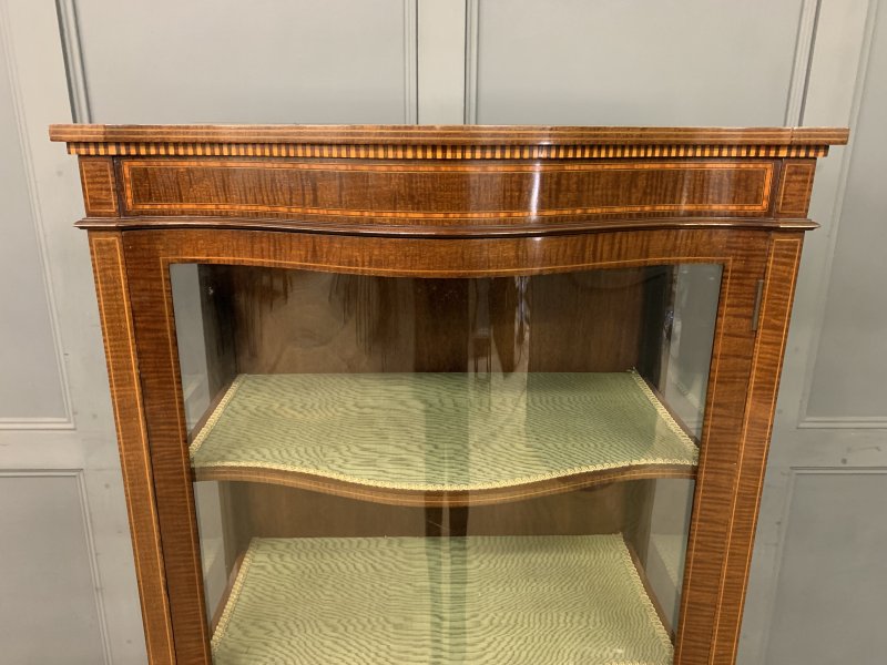 Serpentine Inlaid Mahogany Display Cabinet - Image 9