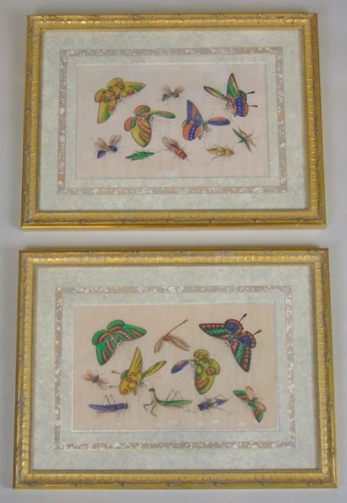 Fine Pair Of Chinese Pith Paintings Butterflies & Insects