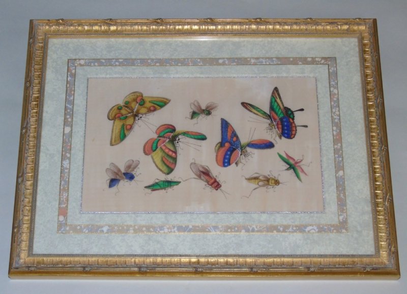 Fine Pair Of Chinese Pith Paintings Butterflies & Insects - Image 5