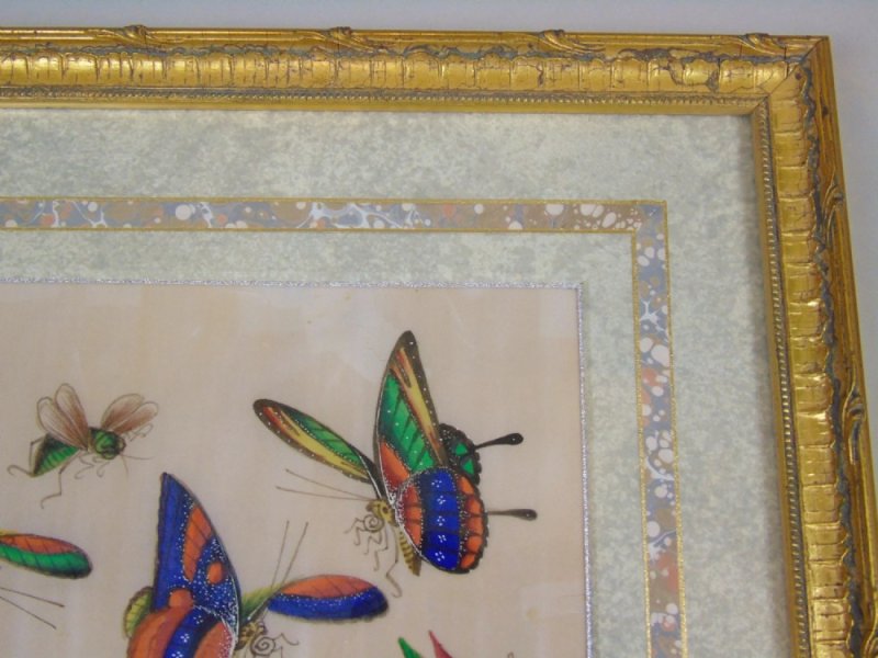 Fine Pair Of Chinese Pith Paintings Butterflies & Insects - Image 7