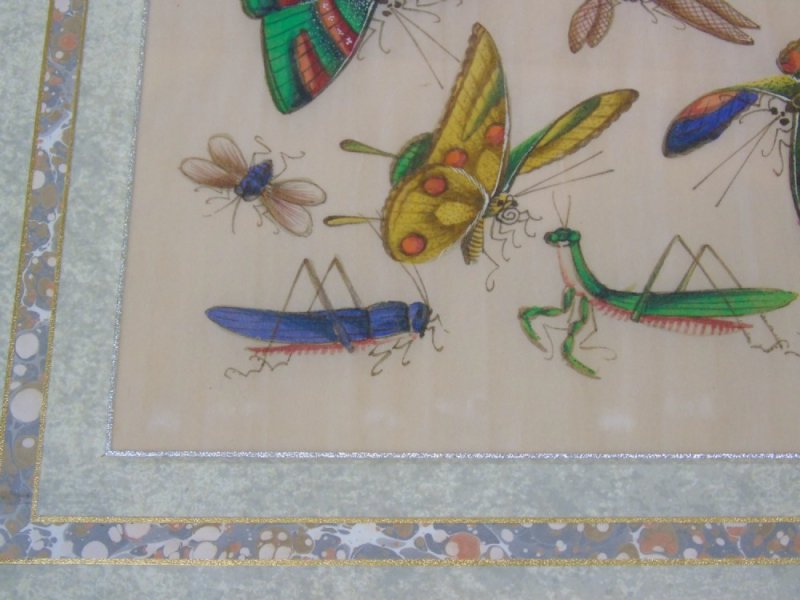 Fine Pair Of Chinese Pith Paintings Butterflies & Insects - Image 8