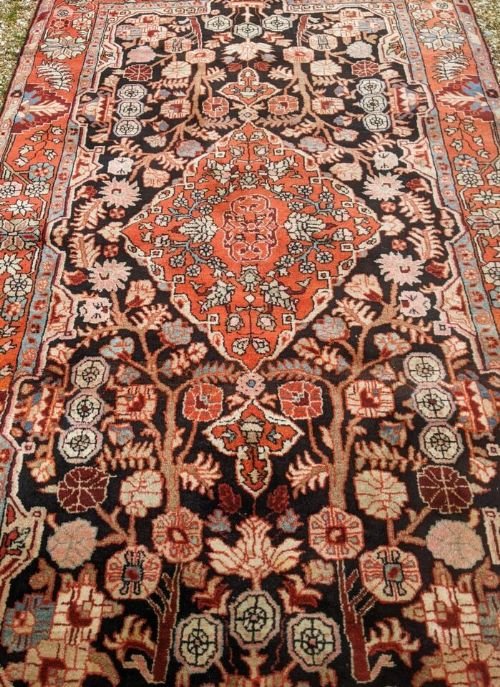 Antique Hamadan Carpet - Image 6