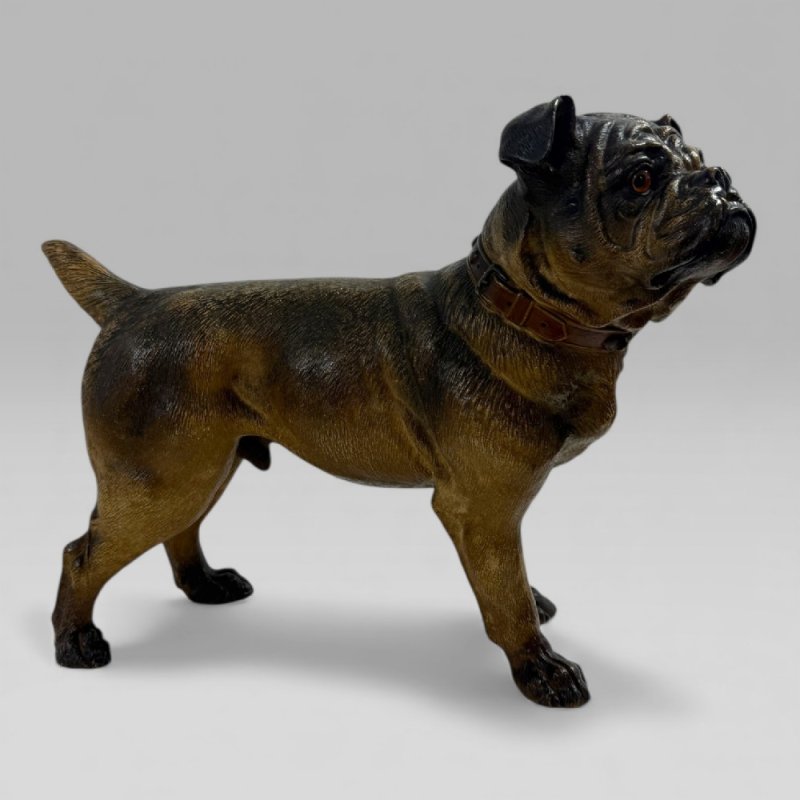 Antique Austrian Terracotta Life-size Pug Dog Sculpture - Image 7