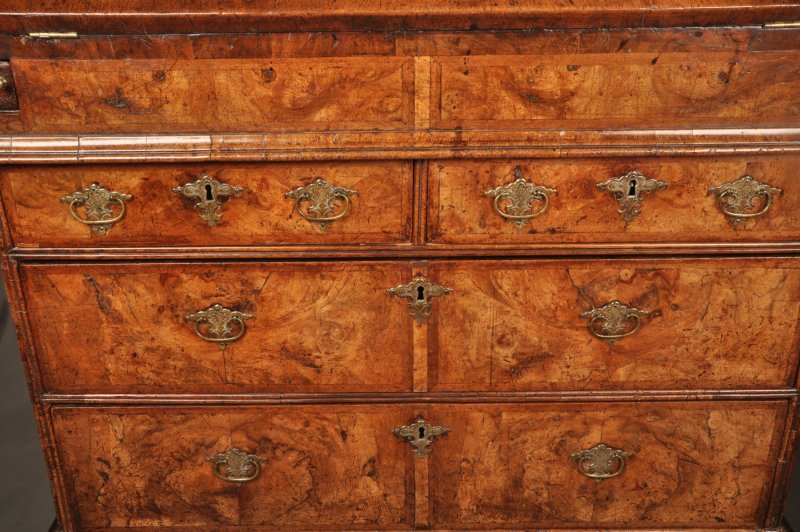 Rare Queen Anne Burr Walnut Bureau - Image 4