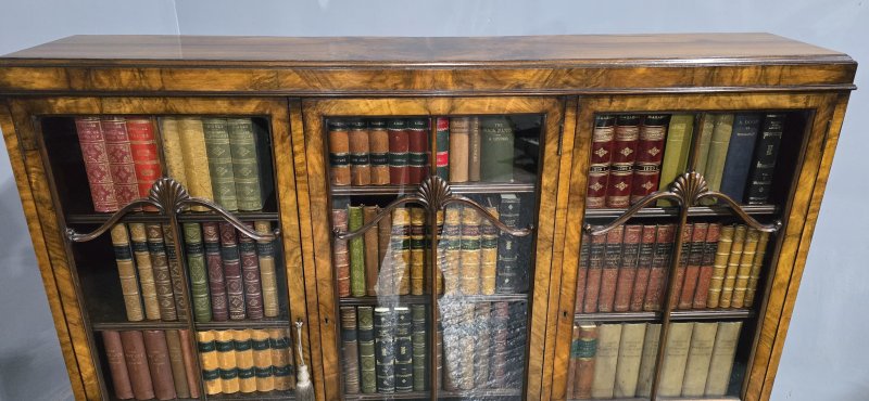 Top Quality Walnut Bookcase - Image 7