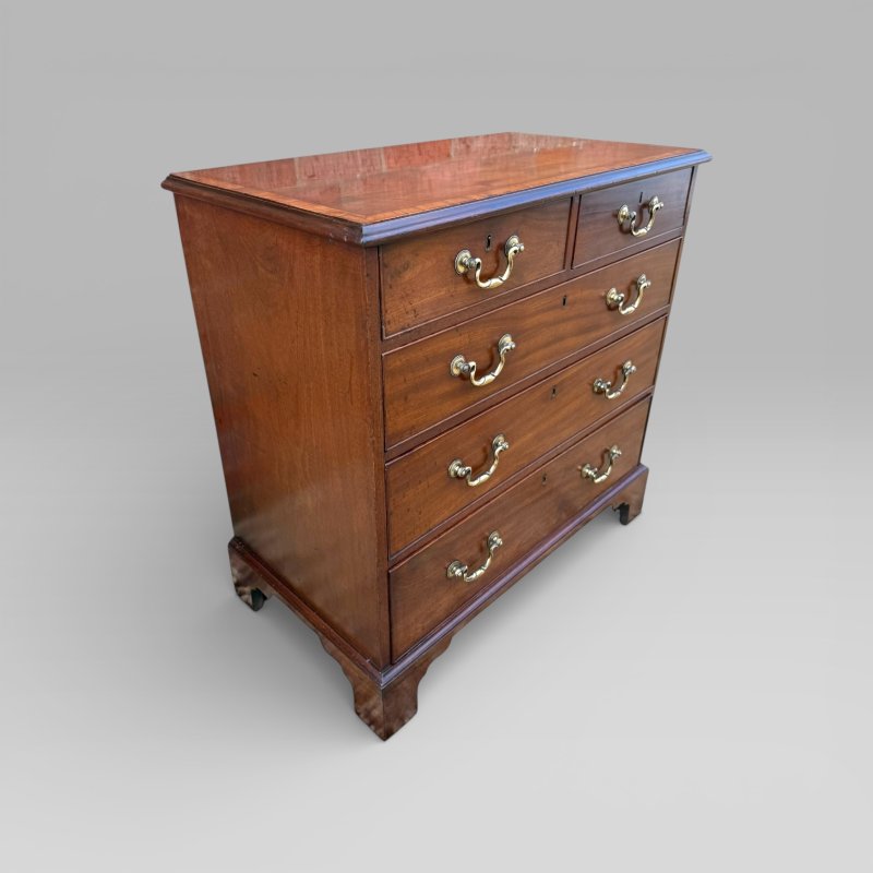 Small Antique Georgian Cuban Mahogany & Walnut Crossbanded Chest Of Drawers - Image 3