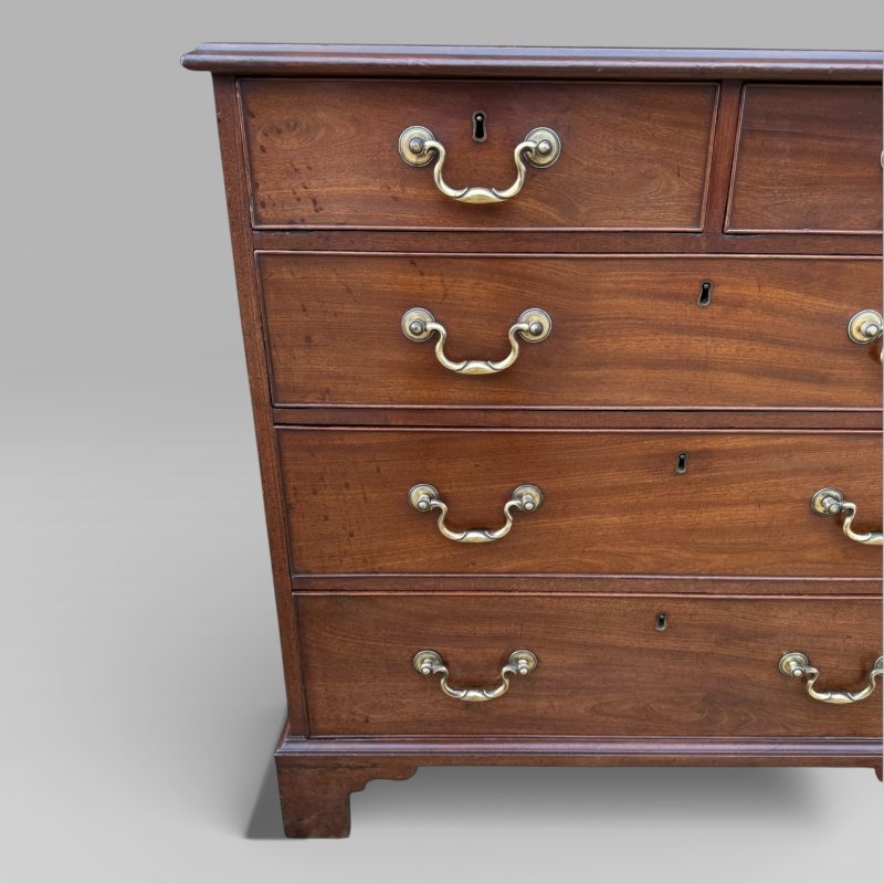 Small Antique Georgian Cuban Mahogany & Walnut Crossbanded Chest Of Drawers - Image 10