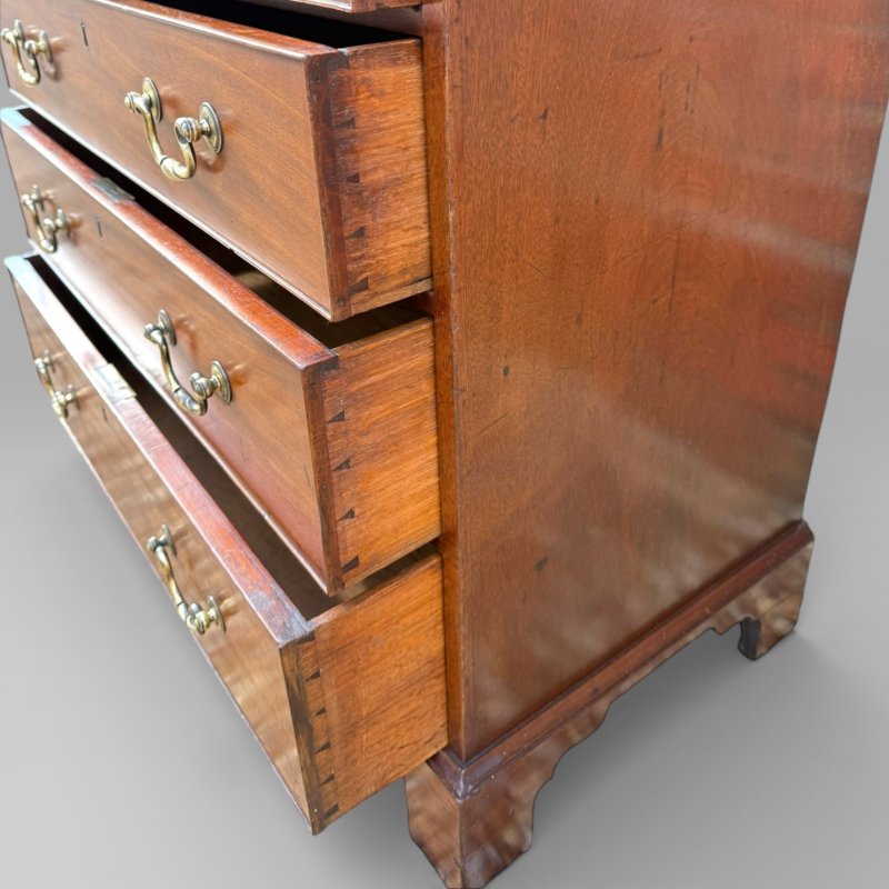 Small Antique Georgian Cuban Mahogany & Walnut Crossbanded Chest Of Drawers - Image 7