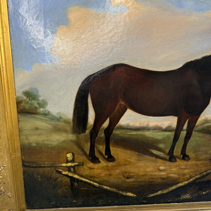 Antique 19th Century British School Oil Painting Horse Study Gilt Frame - Image 4