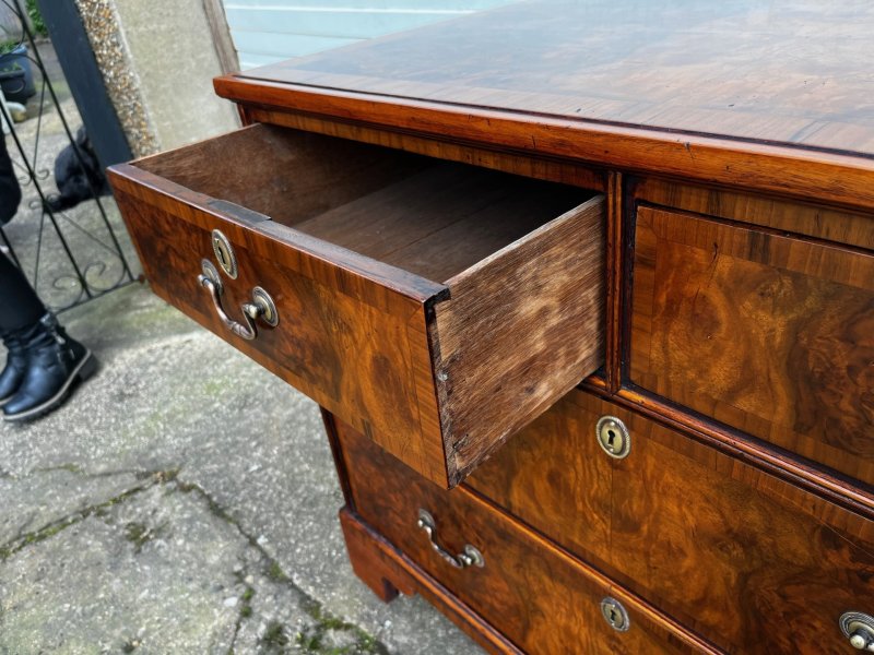 A Small 19th Century Burr Walnut Veneered Chest Of Drawers - Image 8