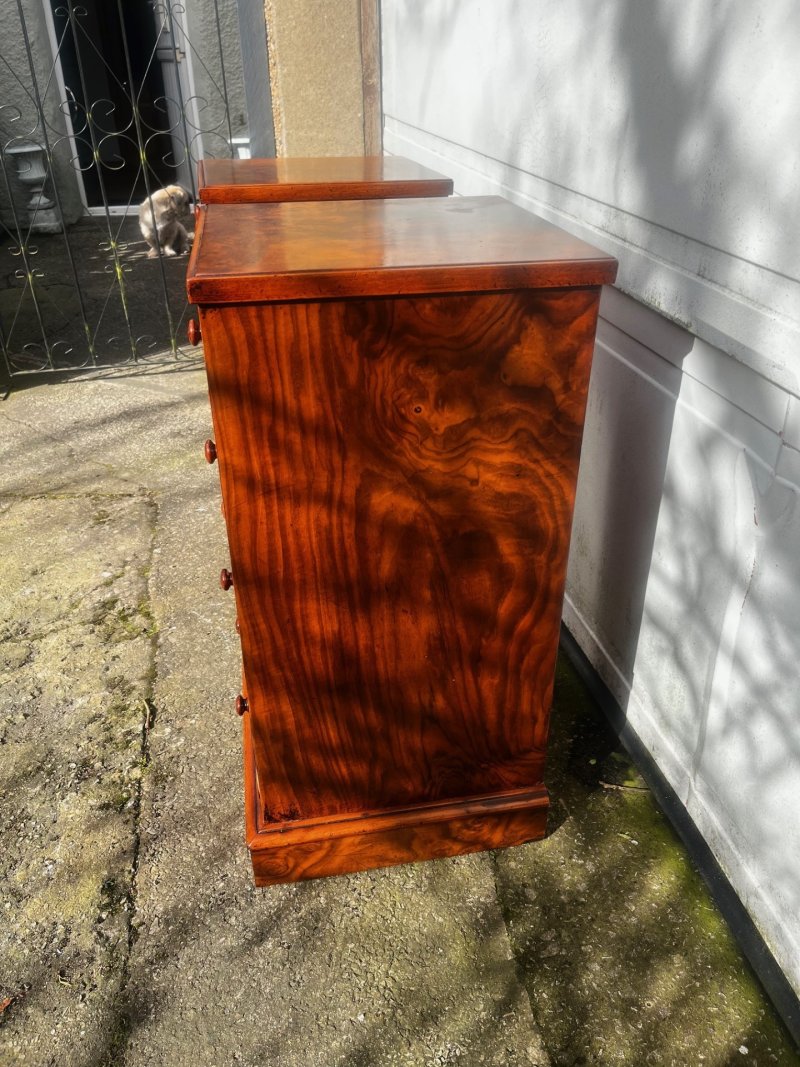 A Good Pair Of Victorian Period Burr Walnut Bedside Chests. - Image 5