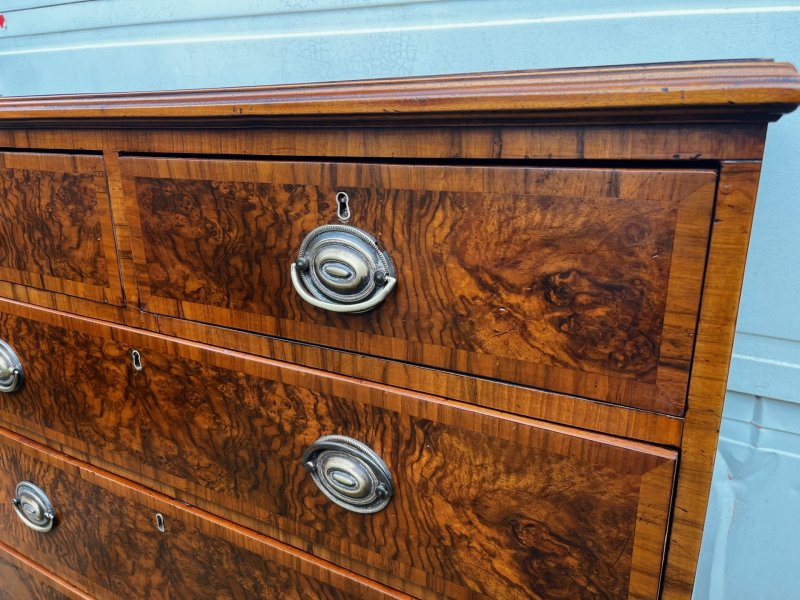 A 19th Century Burr Walnut Veneered Chest Of Drawers - Image 6