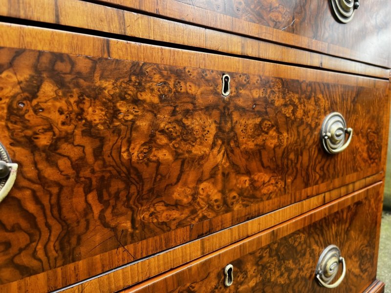 A 19th Century Burr Walnut Veneered Chest Of Drawers - Image 11