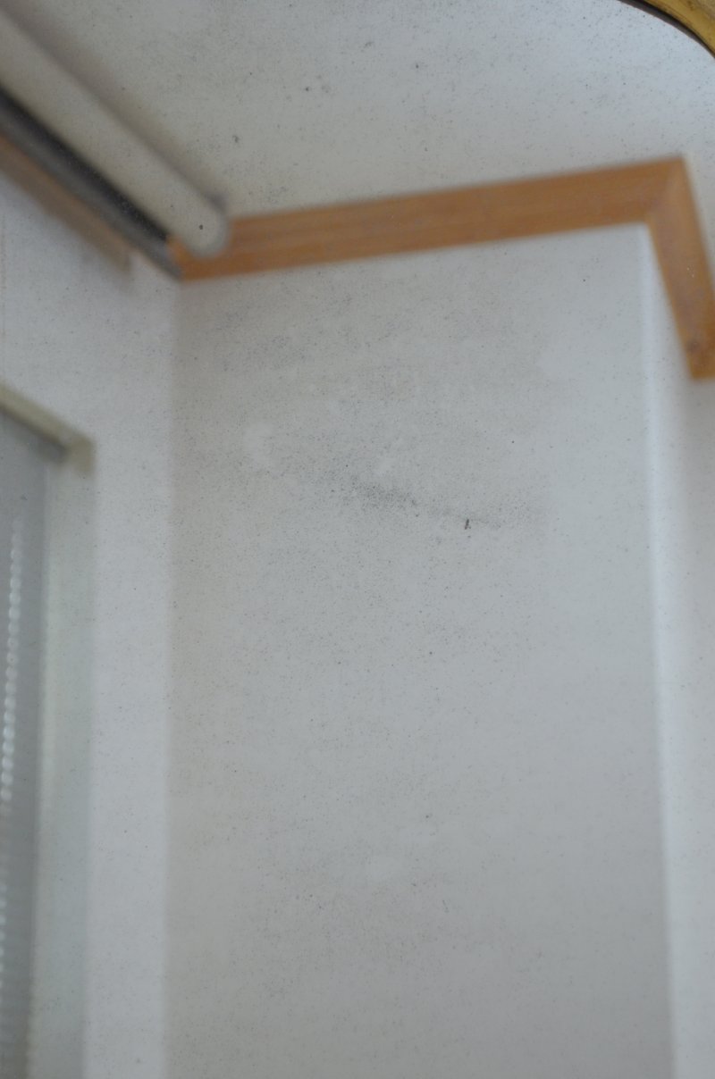 Victorian Pier Mirror Leaner Mirror H160cm - Image 9