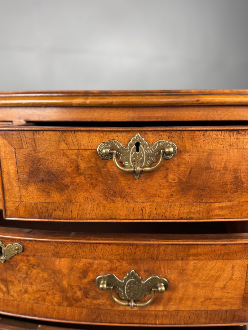 Walnut Bowfront Chest Of Drawers - Image 6