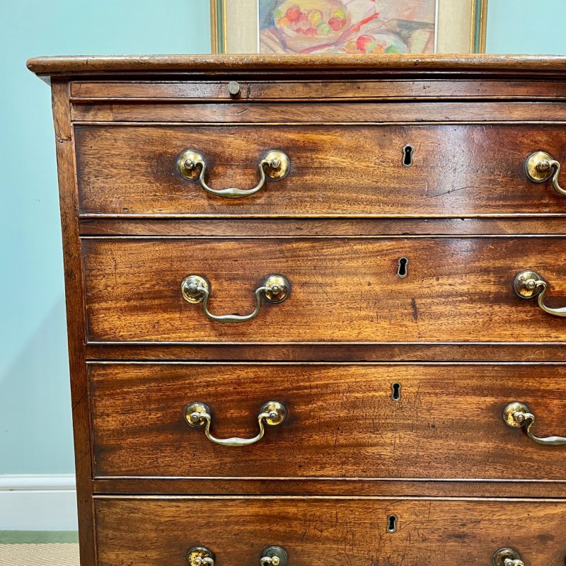 Georgian Mahogany Chest Of Drawers - Image 4