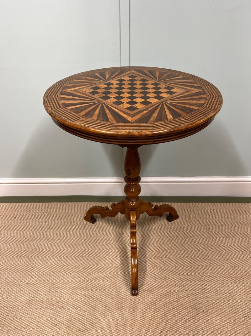 19th Century Italian Specimen Tilt Top Table - Image 8