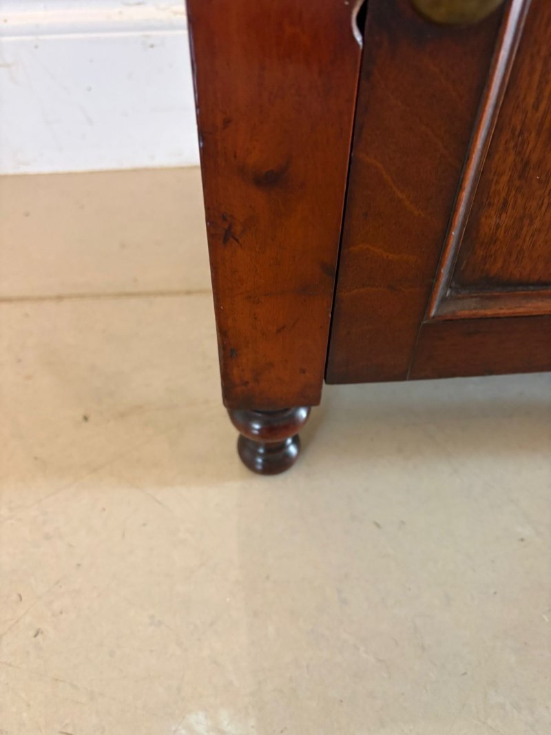 Antique English Victorian Mahogany Bedside Cupboard Pot Cupboard Lamp Table - Image 7