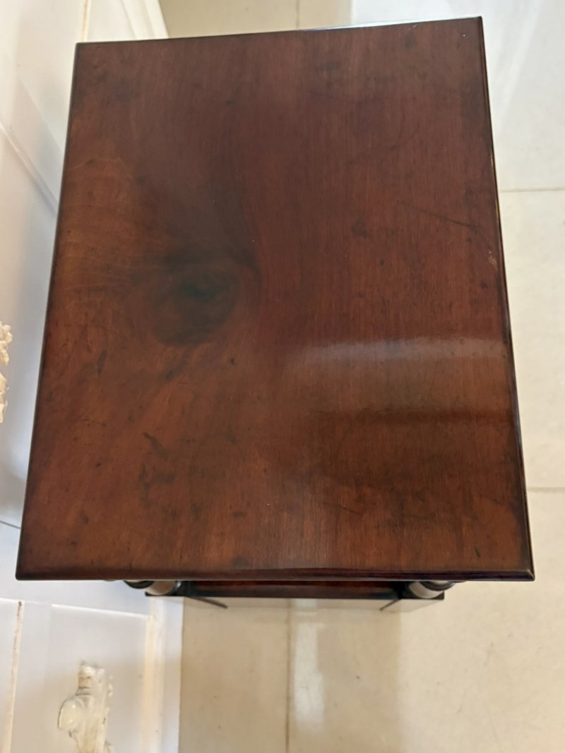 Antique English Victorian Mahogany Bedside Cupboard Pot Cupboard Lamp Table - Image 8