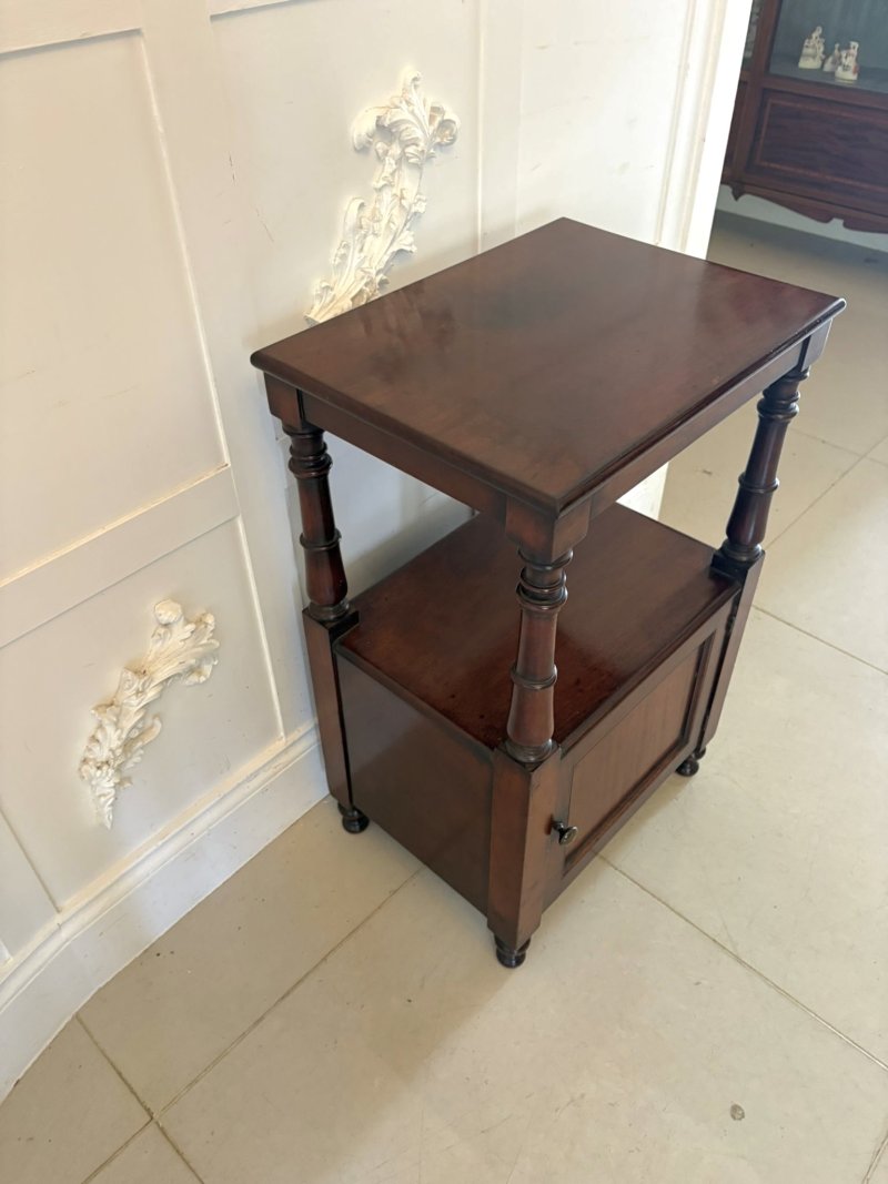 Antique English Victorian Mahogany Bedside Cupboard Pot Cupboard Lamp Table - Image 5