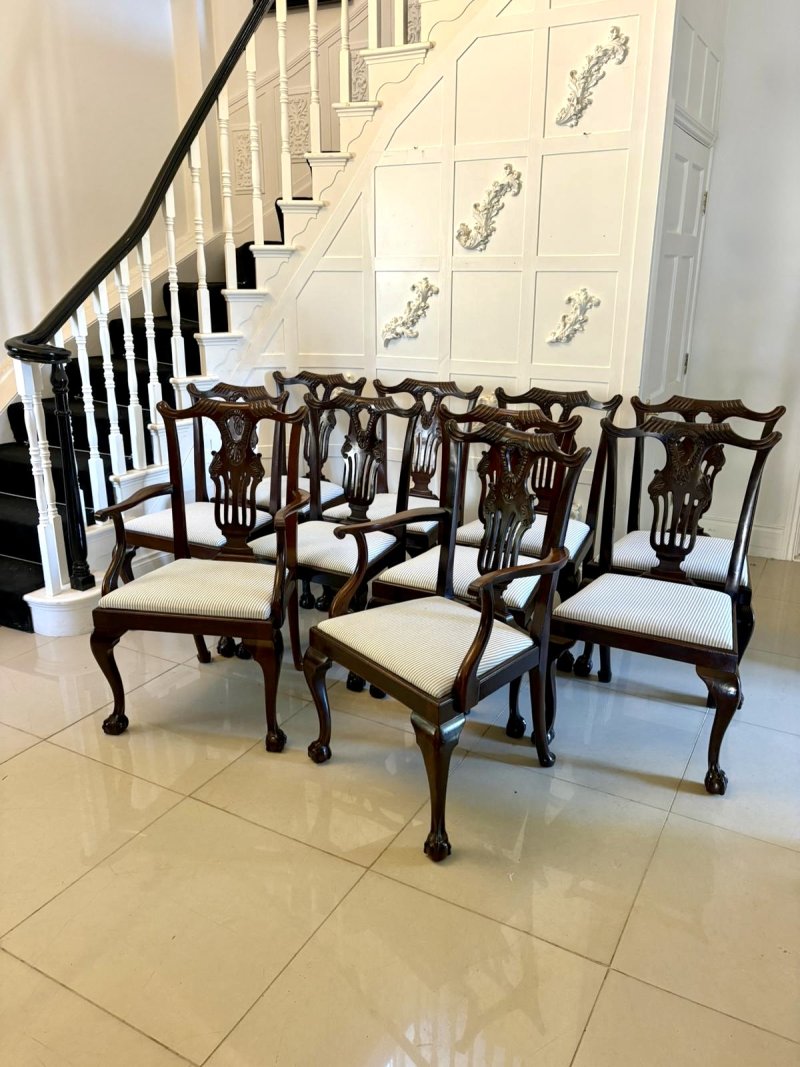 Antique Set of 10 Irish Mid 19th Century Carved Mahogany Dining Chairs Carvers Ball & Claw Feet - Image 2