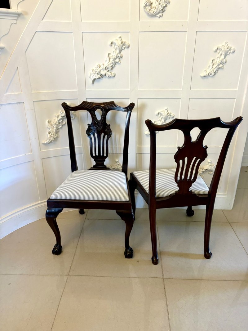 Antique Set of 10 Irish Mid 19th Century Carved Mahogany Dining Chairs Carvers Ball & Claw Feet - Image 3