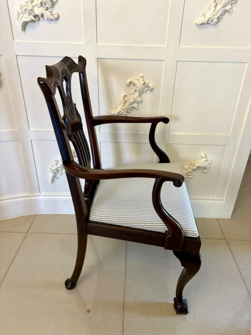 Antique Set of 10 Irish Mid 19th Century Carved Mahogany Dining Chairs Carvers Ball & Claw Feet - Image 7