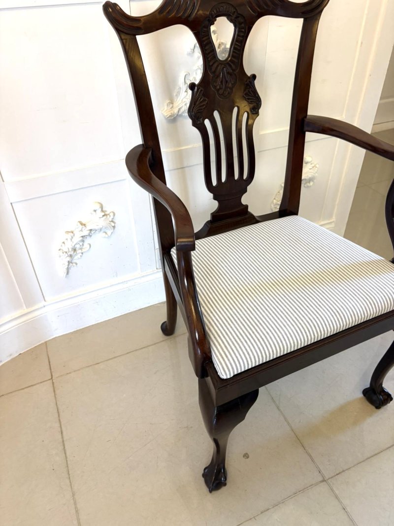 Antique Set of 10 Irish Mid 19th Century Carved Mahogany Dining Chairs Carvers Ball & Claw Feet - Image 8