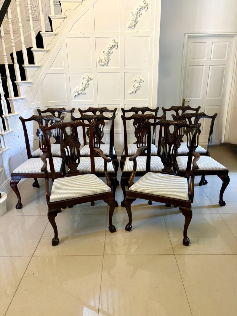 Antique Set of 10 Irish Mid 19th Century Carved Mahogany Dining Chairs Carvers Ball & Claw Feet