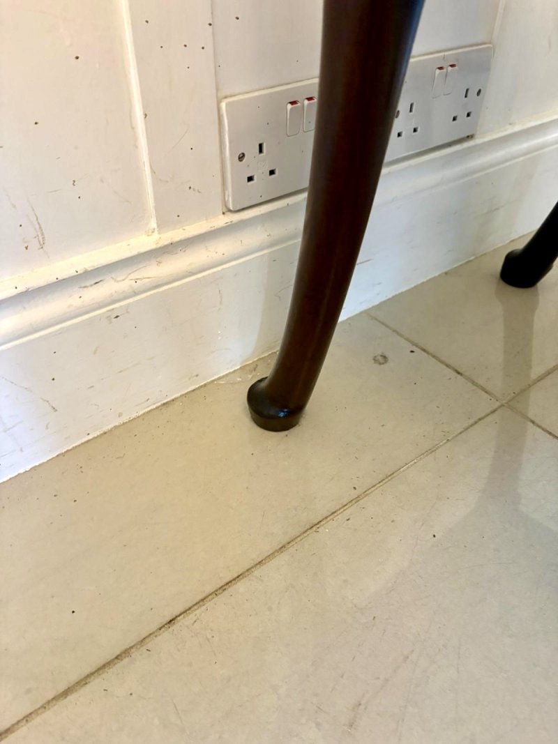 Antique Set of 10 Irish Mid 19th Century Carved Mahogany Dining Chairs Carvers Ball & Claw Feet - Image 23