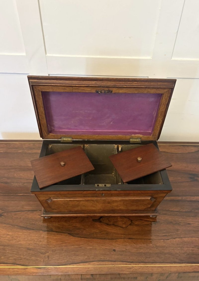 Antique Victorian English Burr Walnut Tea Caddy Sarcophagus Double Tea Caddy - Image 3