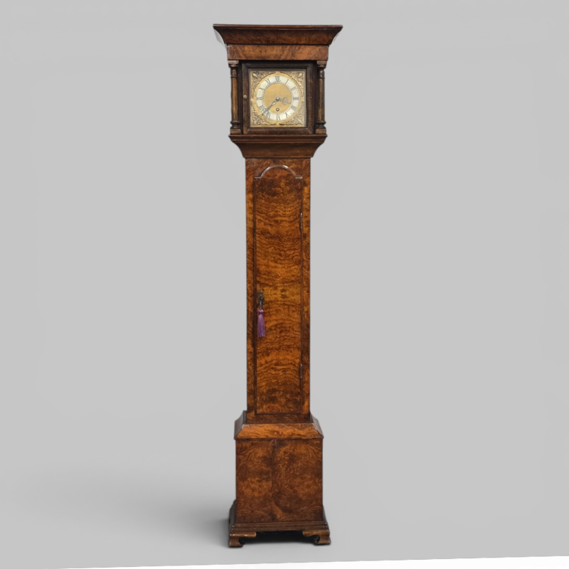 Very Pretty Burr Walnut Grandaughter Longcase Clock