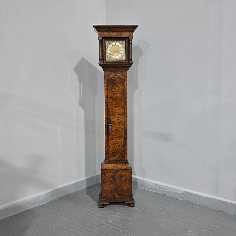 Very Pretty Burr Walnut Grandaughter Longcase Clock - Image 10