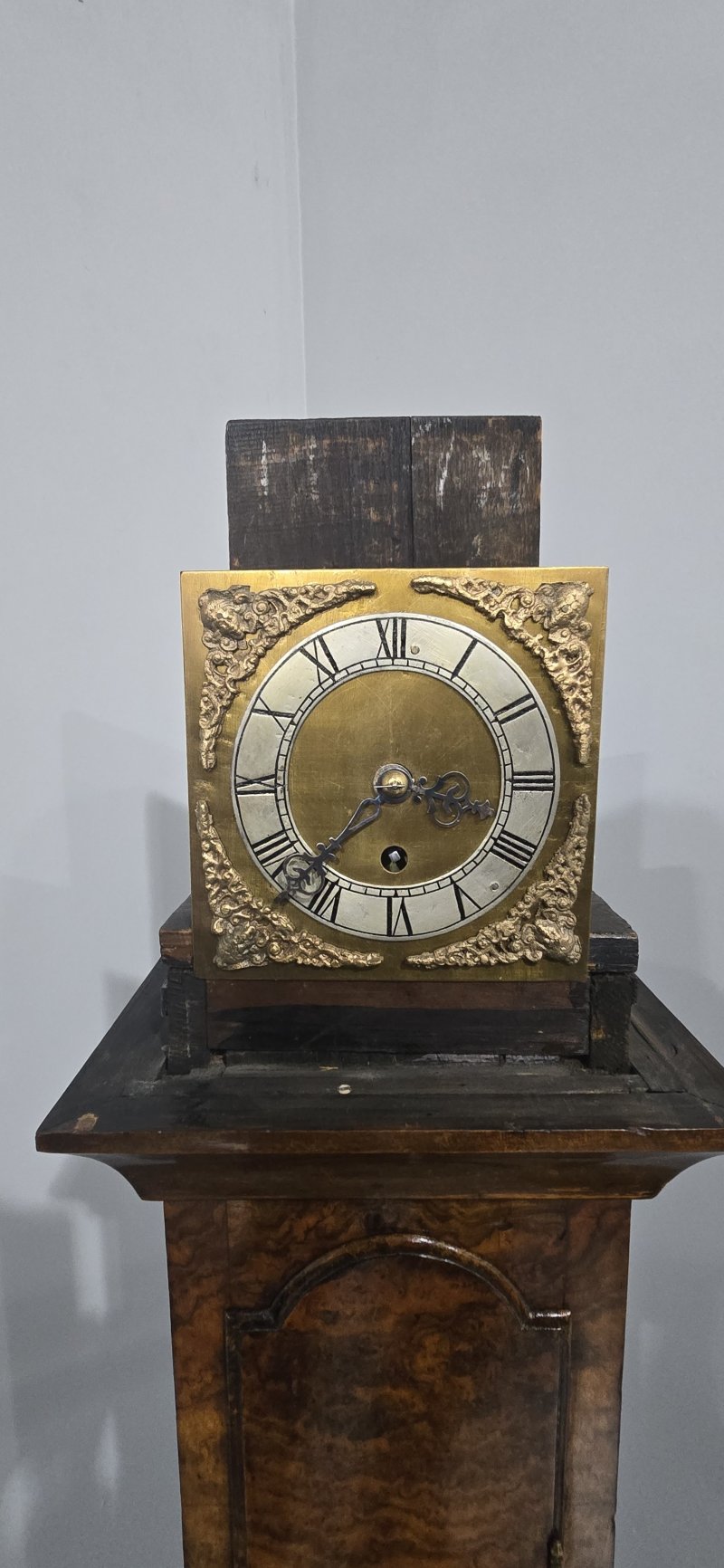 Very Pretty Burr Walnut Grandaughter Longcase Clock - Image 7