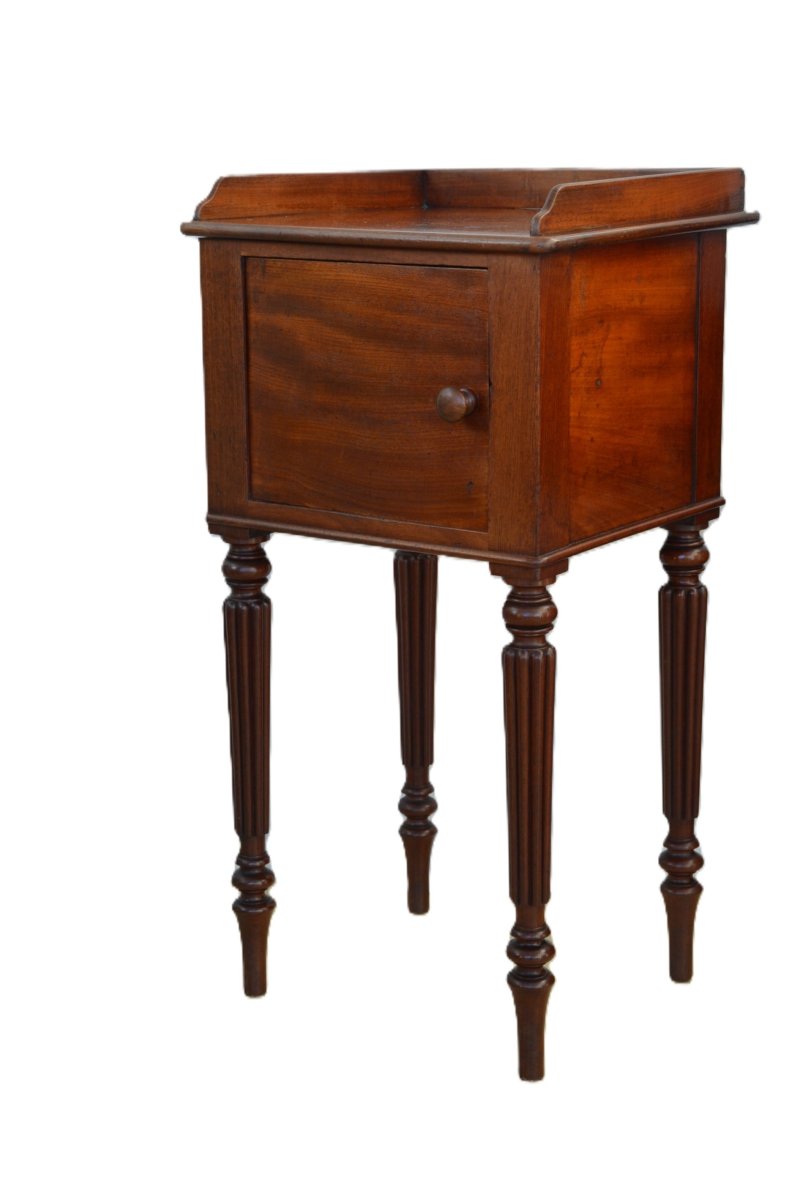 Regency Mahogany Bedside Cabinet Pot Cupboard - Image 4
