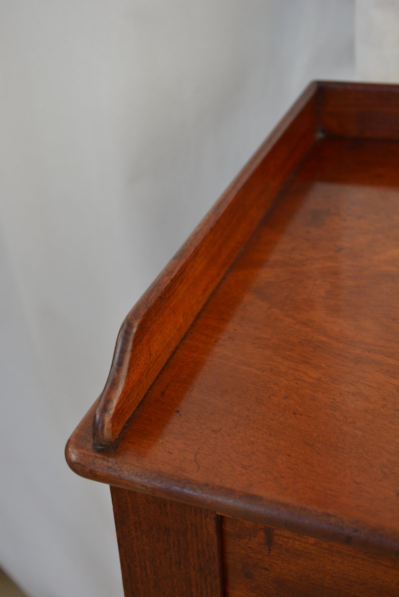 Regency Mahogany Bedside Cabinet Pot Cupboard - Image 16