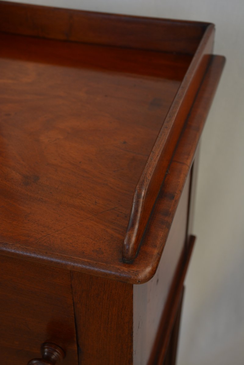 Regency Mahogany Bedside Cabinet Pot Cupboard - Image 15