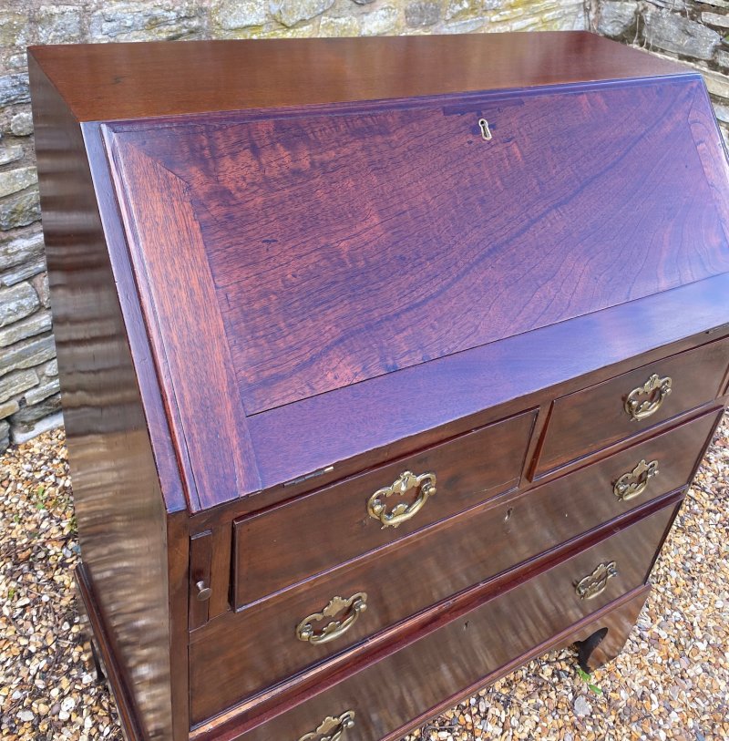 Petite Georgian Mahogany Bureau - Image 3