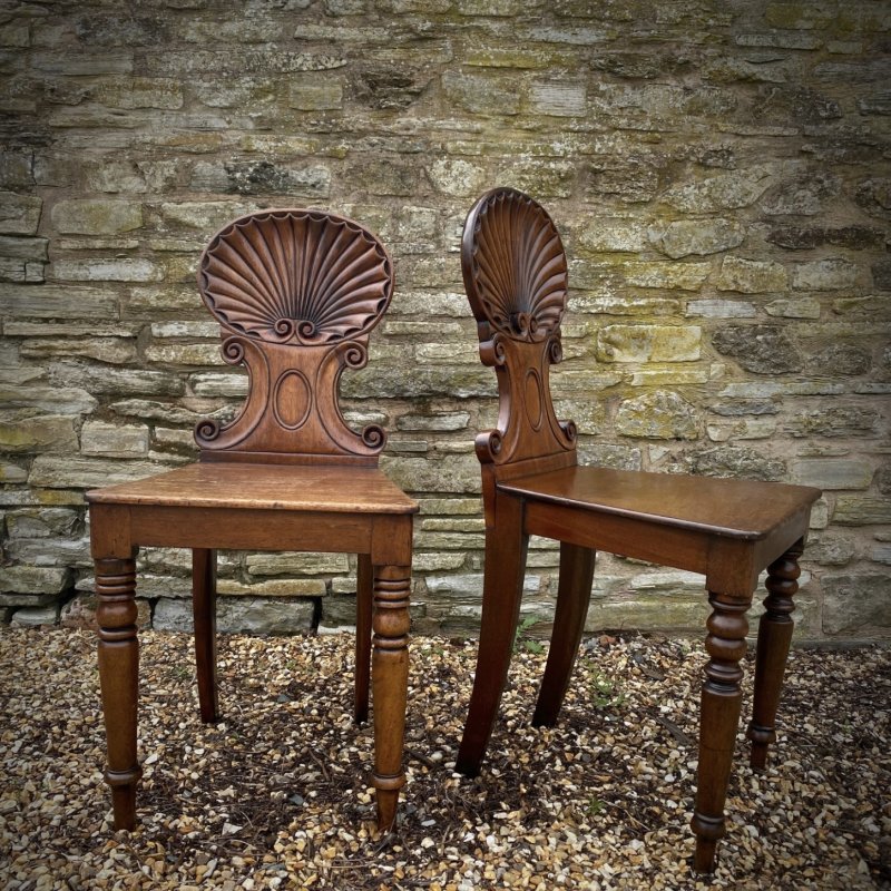 Pair of shell backed hall chairs