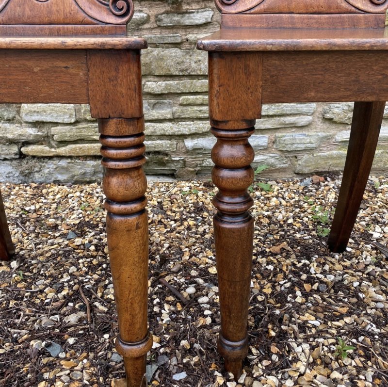 Pair of shell backed hall chairs - Image 4