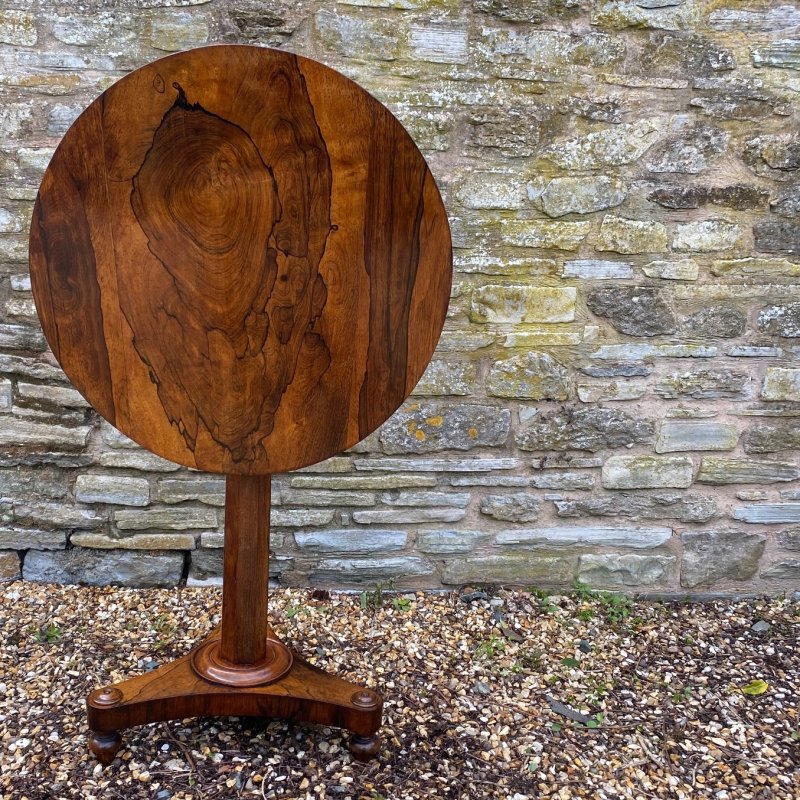 Regency rosewood lamp table - Image 8