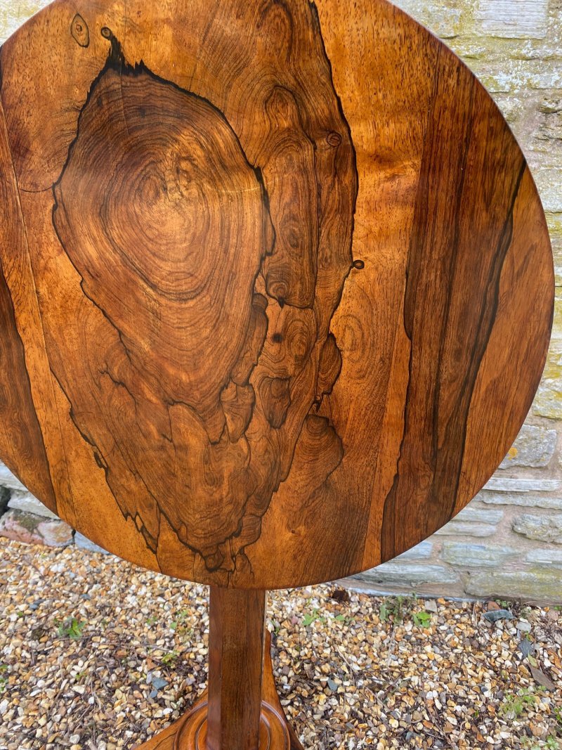 Regency rosewood lamp table - Image 10