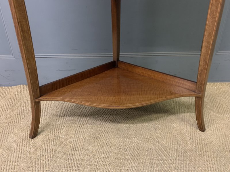 Inlaid Mahogany Corner Cabinet - Image 3