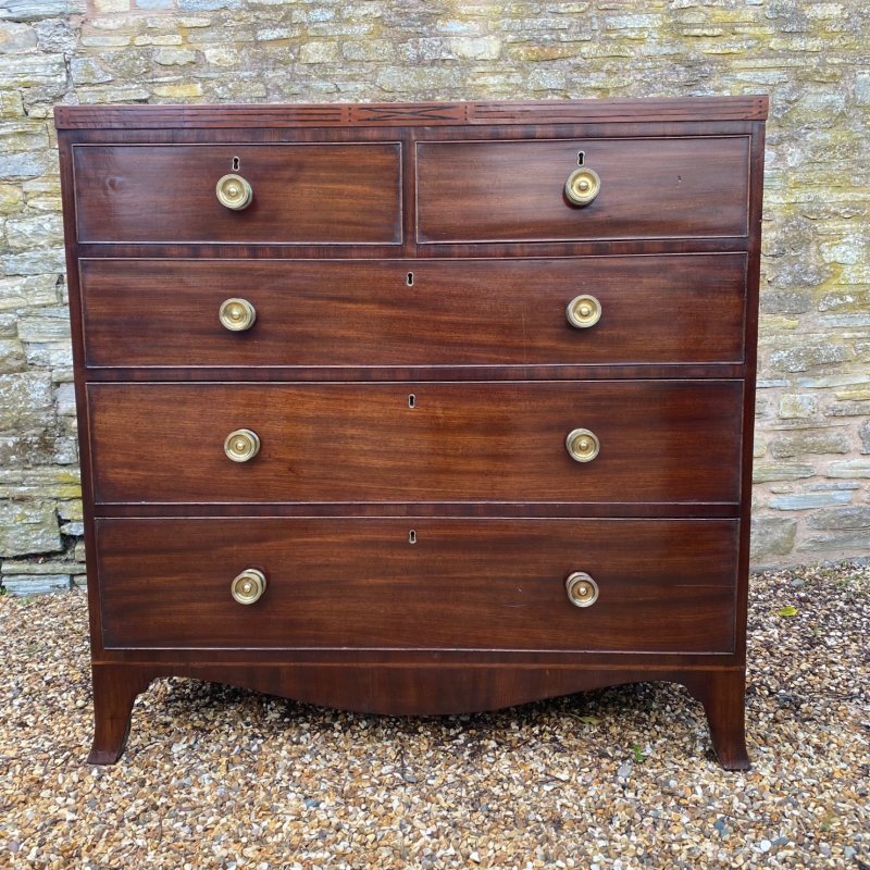 Regency mahogany chest of drawers - Image 4