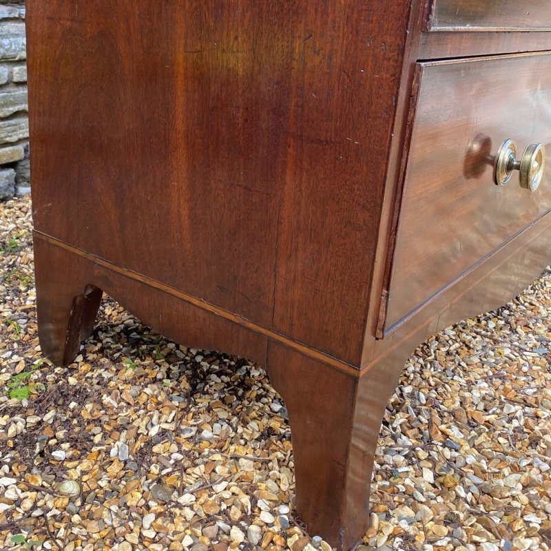 Regency mahogany chest of drawers - Image 6