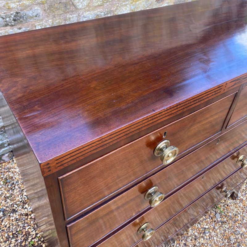 Regency mahogany chest of drawers - Image 9