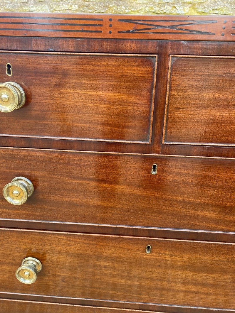 Regency mahogany chest of drawers - Image 7